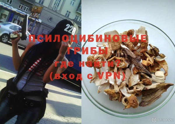 PSILOCYBIN Алексеевка